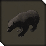 熊の剥製