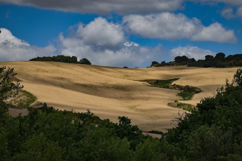 Magica Toscana di rosy_greggio