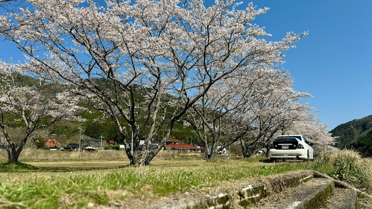 の投稿画像9枚目