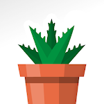 Cover Image of ดาวน์โหลด Terrarium: Garden Idle 1.21.1 APK