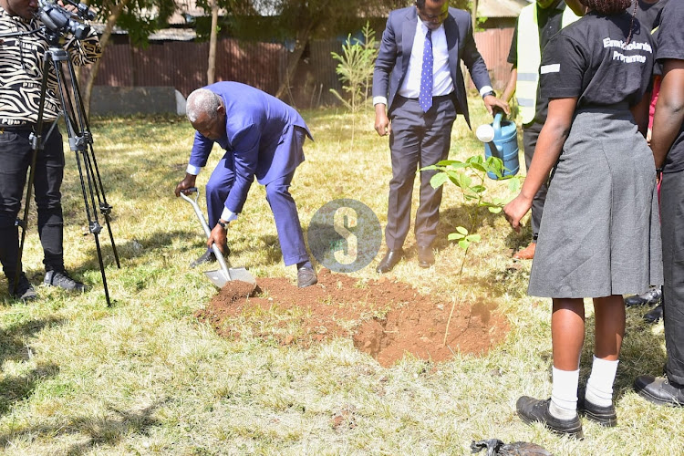 Equity Group CEO James Mwangi planting a tree at Pangani Girls School during the 13th Annual Education and Leadership Congress for Wings to Fly and Elimu Scholarship beneficiaries on August 23, 2023.