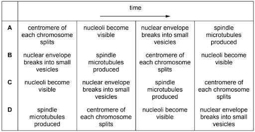 Mitosis