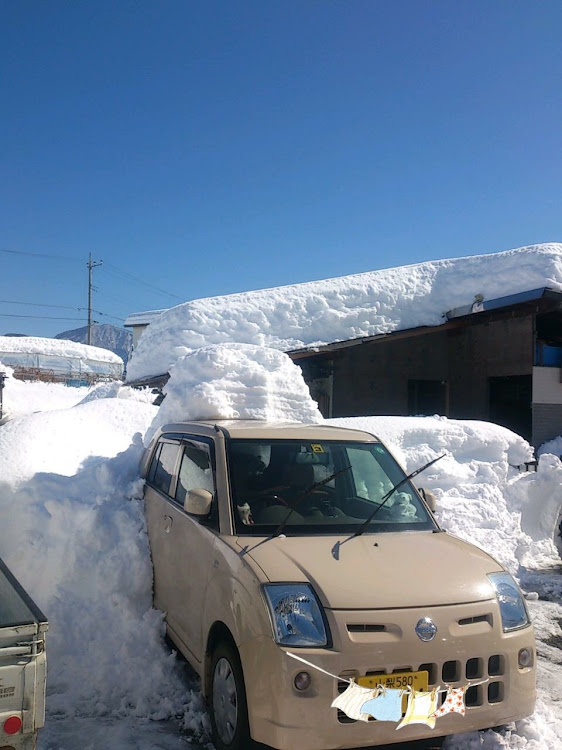 の投稿画像1枚目