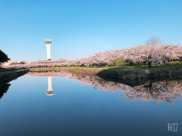 の投稿画像4枚目