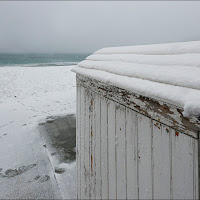 Bianco su bianco di 