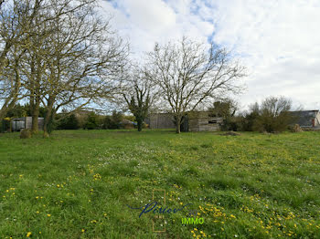 terrain à Brissac-Quincé (49)