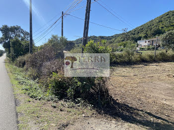 terrain à Serra-di-Fiumorbo (2B)