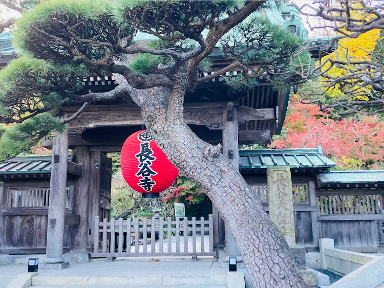 ロードスターのプラチナクォーツメタリック・納言志るこ店・長谷寺・紅葉・ライトアップに関するカスタム事例の投稿画像4枚目