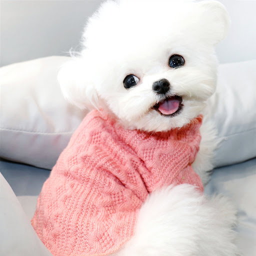Title 7, Towable Plus Fleece Dog Clothes Winter Sweater,...