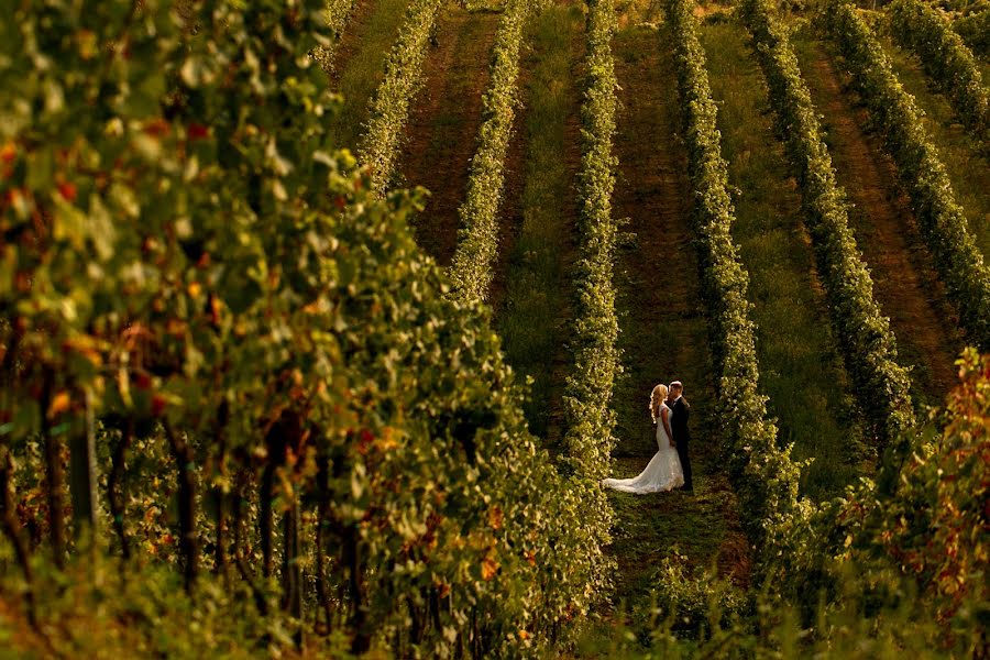 Fotografo di matrimoni Sabina Mladin (sabina). Foto del 22 settembre 2015