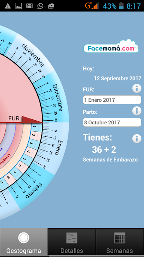 Screenshot Pregnancy Weeks Calculator