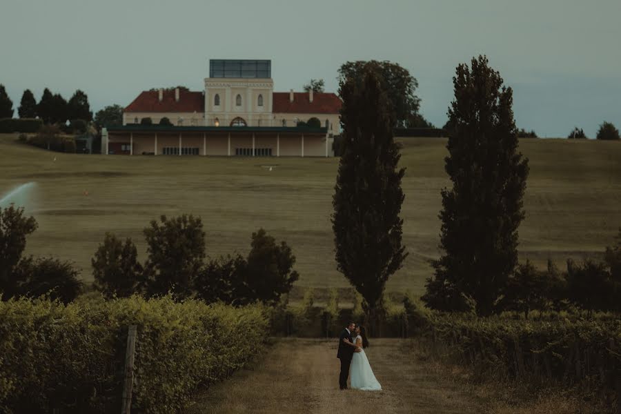 Photographe de mariage Nikola Segan (nikolasegan). Photo du 25 décembre 2021