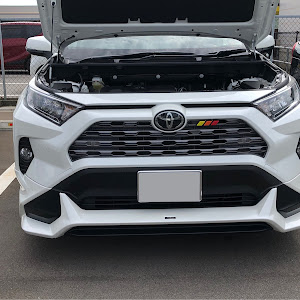 RAV4 MXAA54