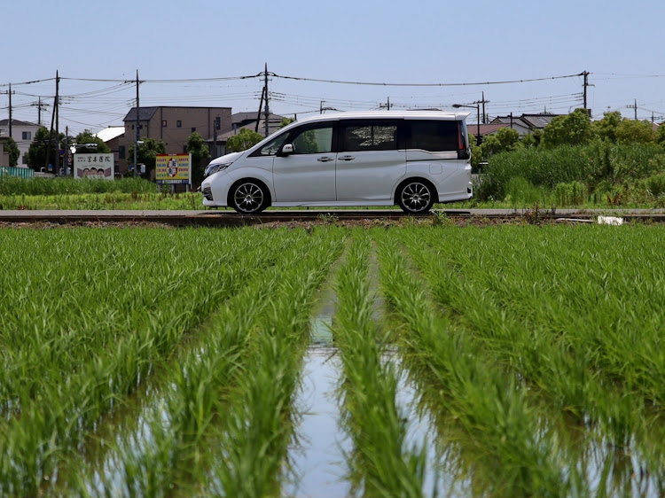 ステップワゴンの田んぼコラボ・カメ活！に関するカスタム事例の投稿画像2枚目