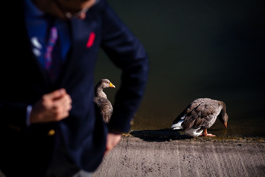 Vestuvių fotografas Adrian Andrunachi (adrianandrunach). Nuotrauka 2020 lapkričio 18