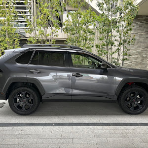 RAV4 MXAA54