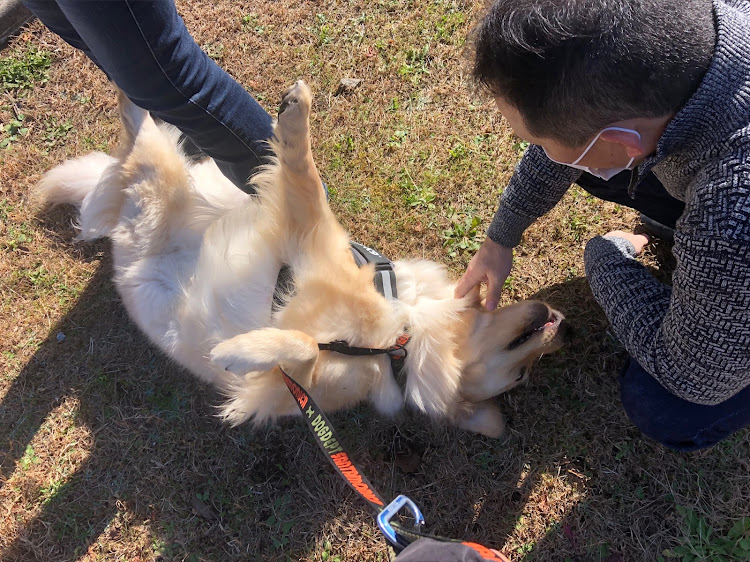 GTOのオフ会・ミーティング・ツーリング・箱根に関するカスタム事例の投稿画像11枚目