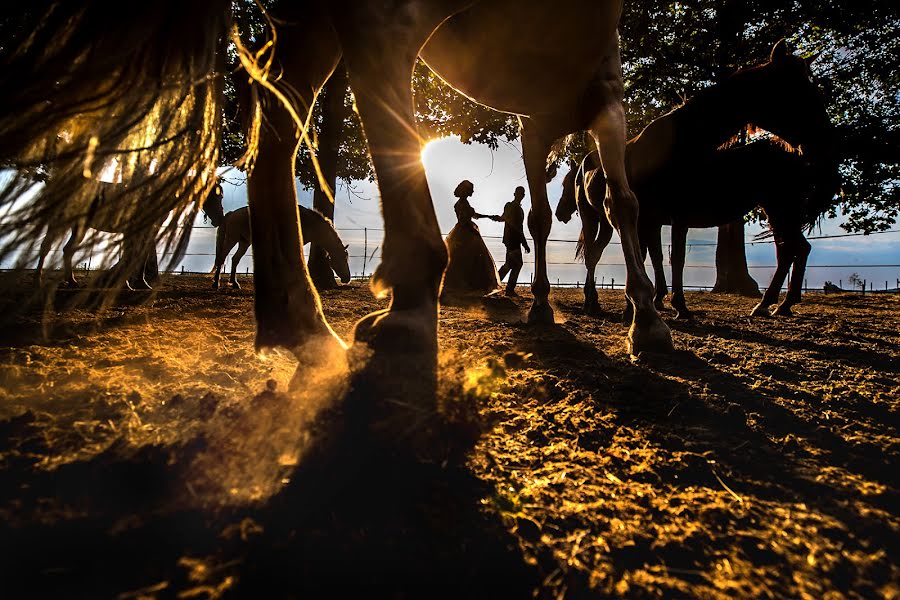 Fotografo di matrimoni Daniel Dumbrava (dumbrava). Foto del 16 agosto 2017