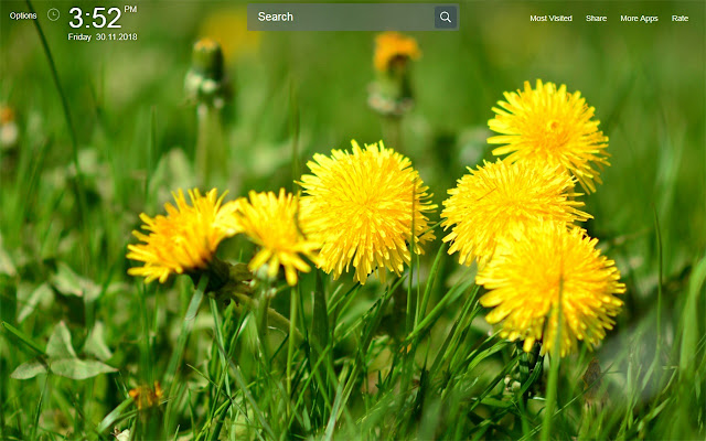 Dandelion Wallpapers Theme New Tab