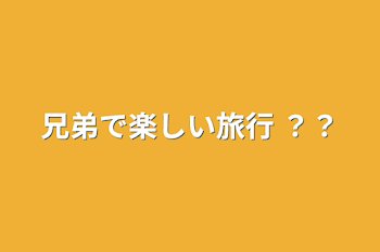 兄弟で楽しい旅行 ？？