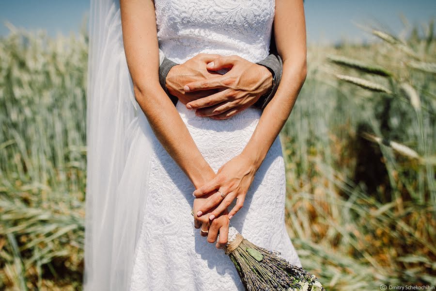 Wedding photographer Dmitriy Schekochikhin (schekochihin). Photo of 24 December 2015