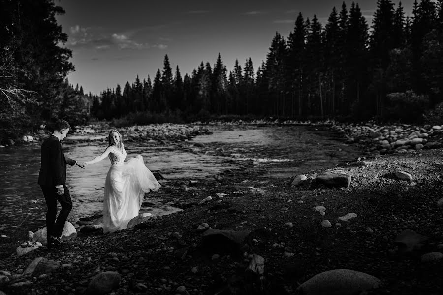 Fotógrafo de casamento Michał Misztela (mmisztela). Foto de 7 de janeiro