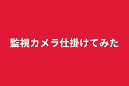 監視カメラ仕掛けてみた