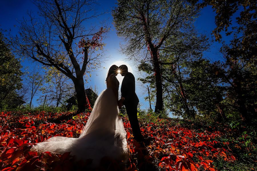 Fotografo di matrimoni Traian Mitrache (mediatotalart). Foto del 28 gennaio