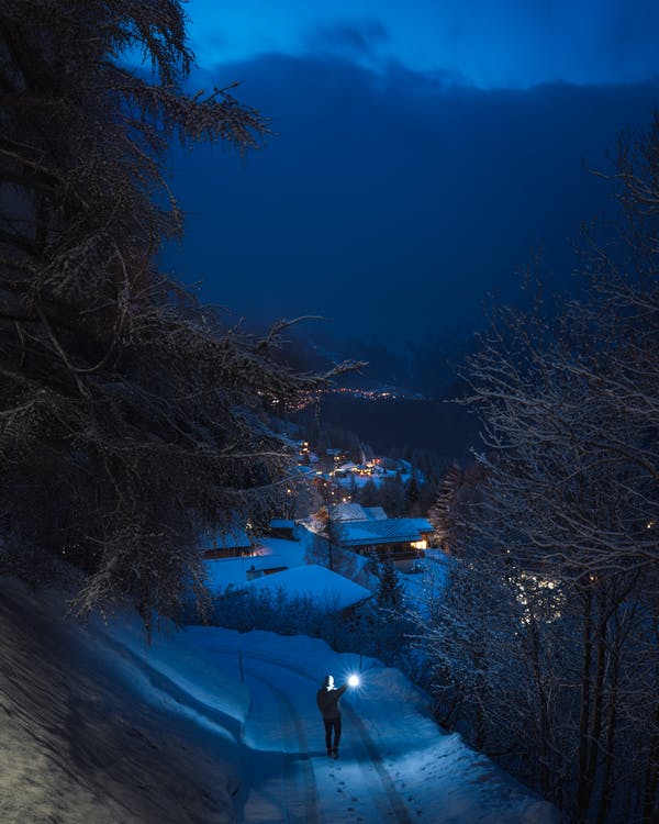 Person Holding Flashlight in Road