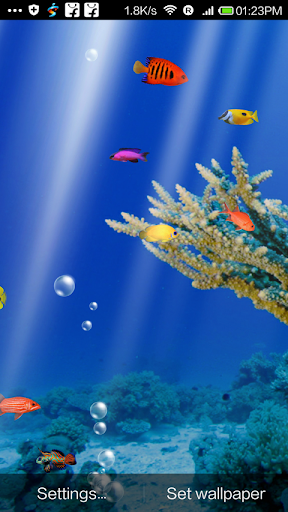 Aquarium Live Wallpaper Free