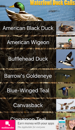 Waterfowl Duck Calls