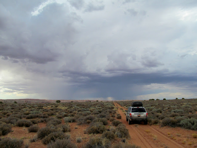 Driving into the storm