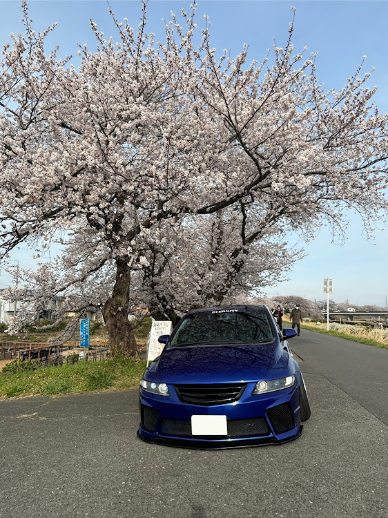 オデッセイのETERNITY・海蔵川桜満開🌸・桜コラボ🌸・こうちゃんラストラン・LOW FORM杯に関するカスタム事例の投稿画像1枚目