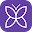 Papillon - Video Q&A Download on Windows