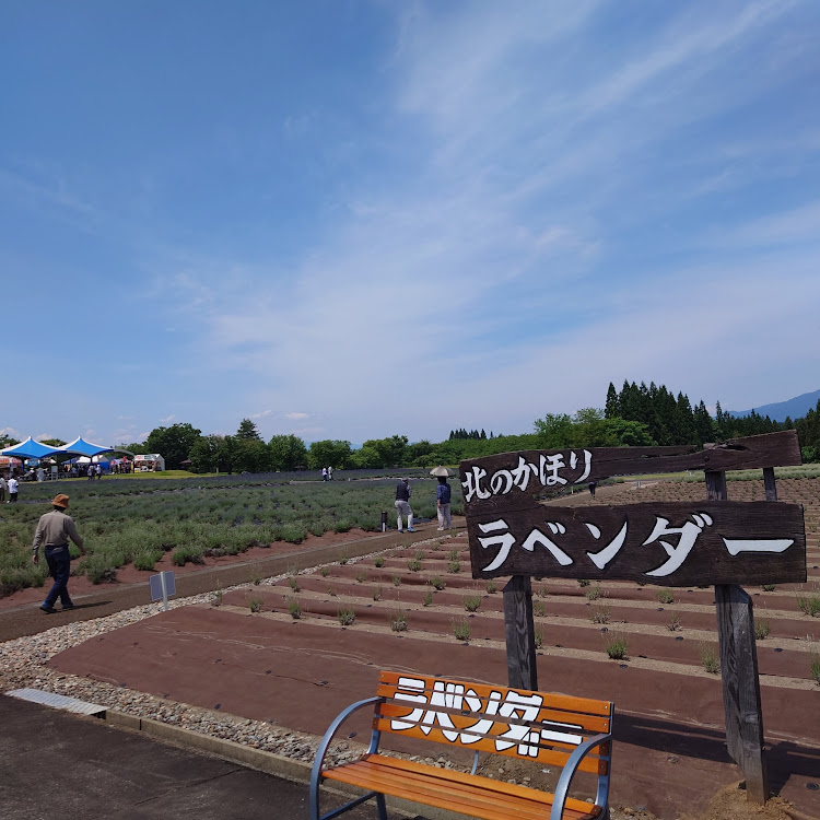 プレオバンのEN07・STRAIGHT4・AIラベル・新緑と愛車・ラベンダー園に関するカスタム事例の投稿画像13枚目