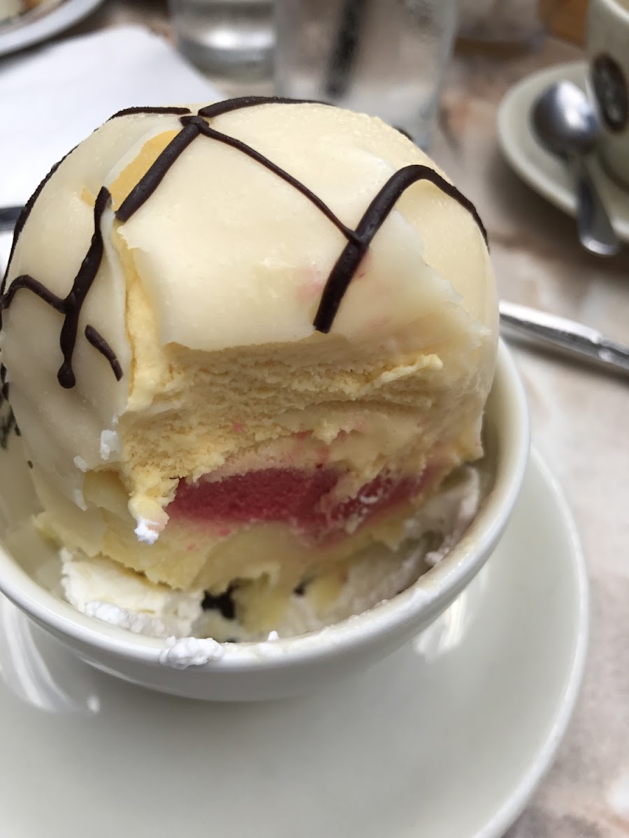 Sorbet with white chocolate and dark chocolate coating, schlag on the bottom.