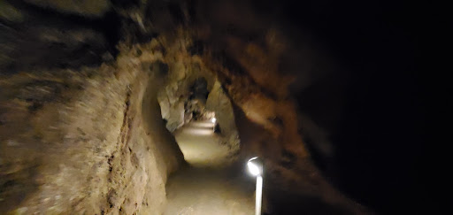 Sterkfontein Caves & Hartebeespoort Mountain South Africa 2019