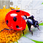 Cover Image of Download Insect Jigsaw Puzzles Game - For Kids & Adults 🐞 24.0 APK