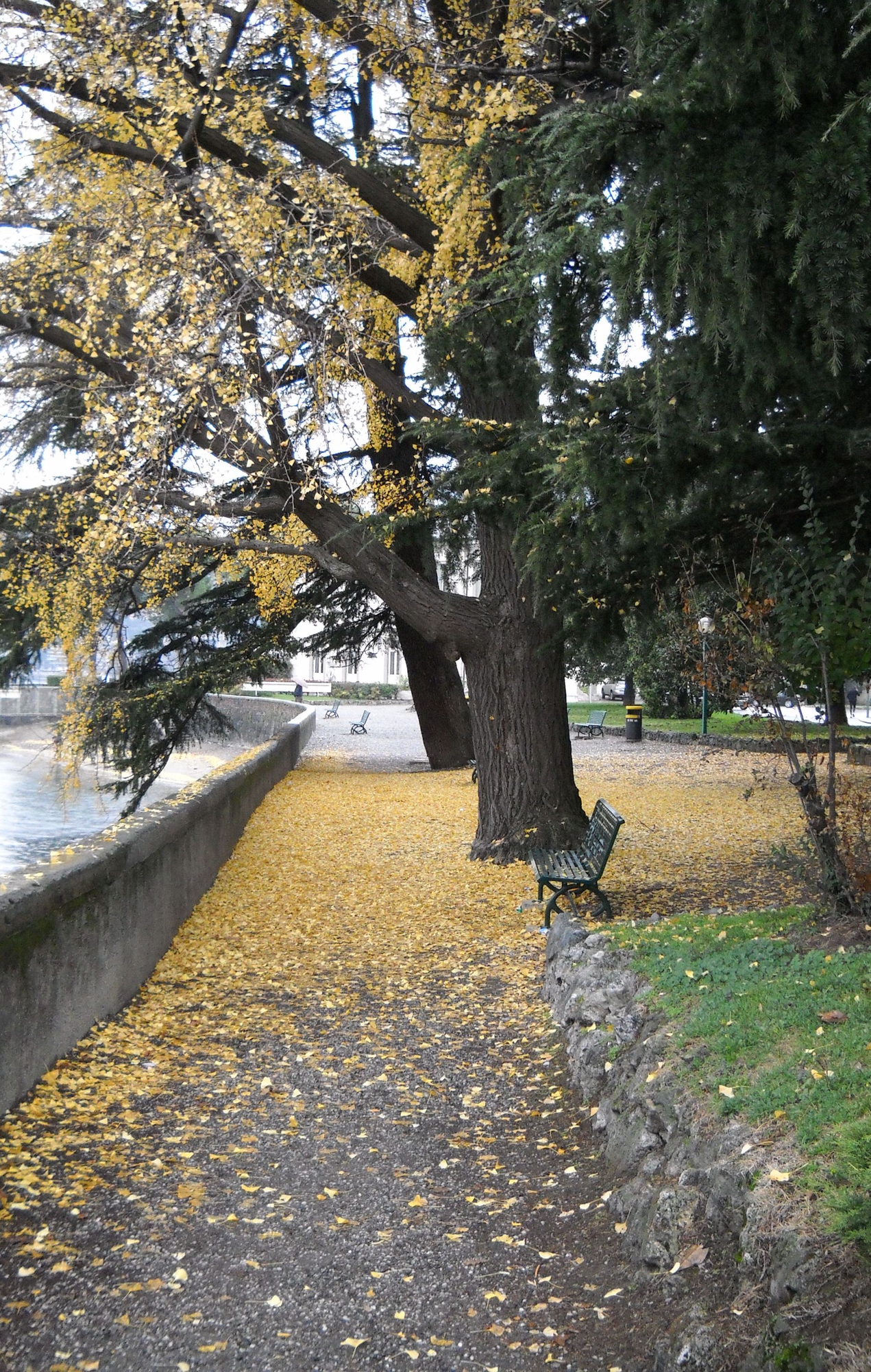 Quel ramo del lago di Como di valeriasantelli