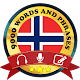 Learn Norwegian Free Download on Windows