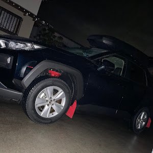 RAV4 MXAA54