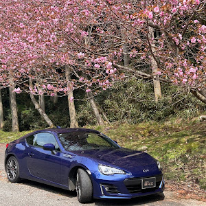 BRZ ZC6