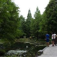 菁芳園 Tenway Garden／花園餐廳／落羽松