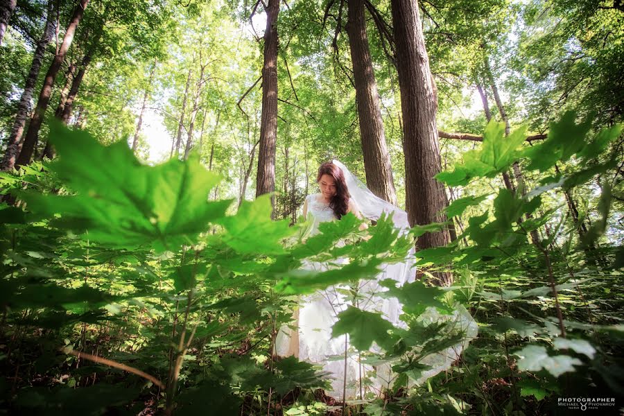 Wedding photographer Mikhail Pivovarov (stray). Photo of 22 December 2014