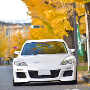 RX-8 SE3P