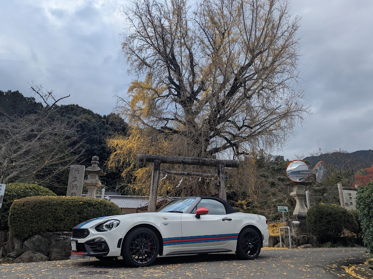 124スパイダーの丹生酒殿神社・銀杏の木(御神木)・愛宕池公園・フルーツラインに関するカスタム事例の投稿画像1枚目