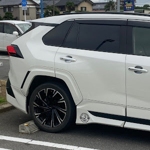 RAV4 MXAA54