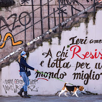 Resistere al Covid, ovvero: L'ora d'aria della passeggiata con il cane di 