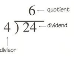 Elimu Decimal