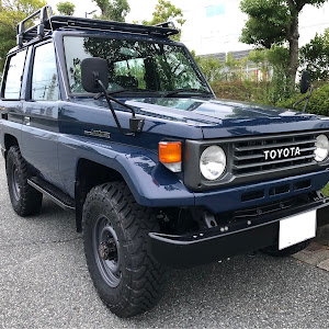 ランドクルーザー70 HZJ71V